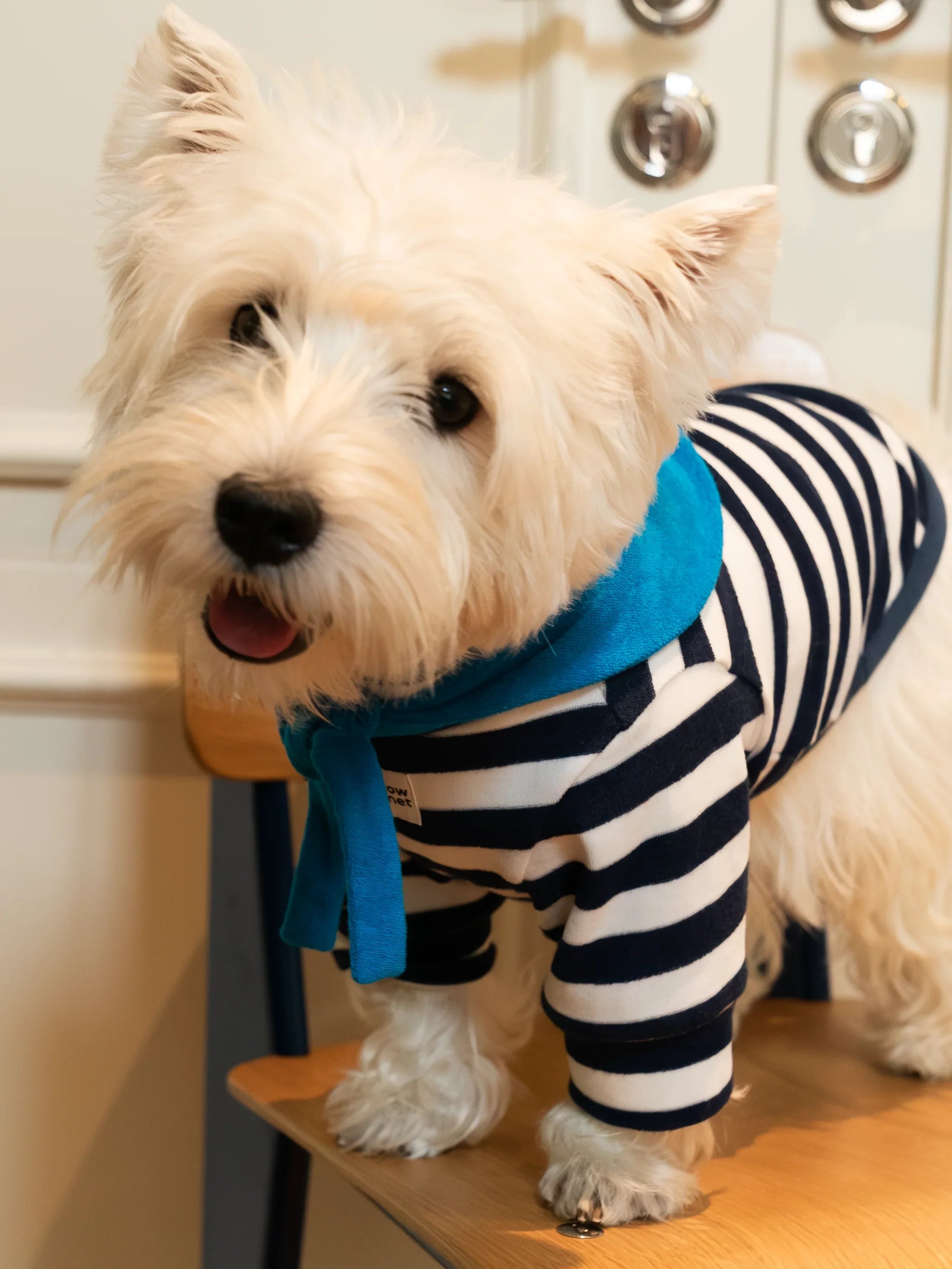 Colorful Daily Series Color Yarn-dyed Pet Bandana - Yellow Planet