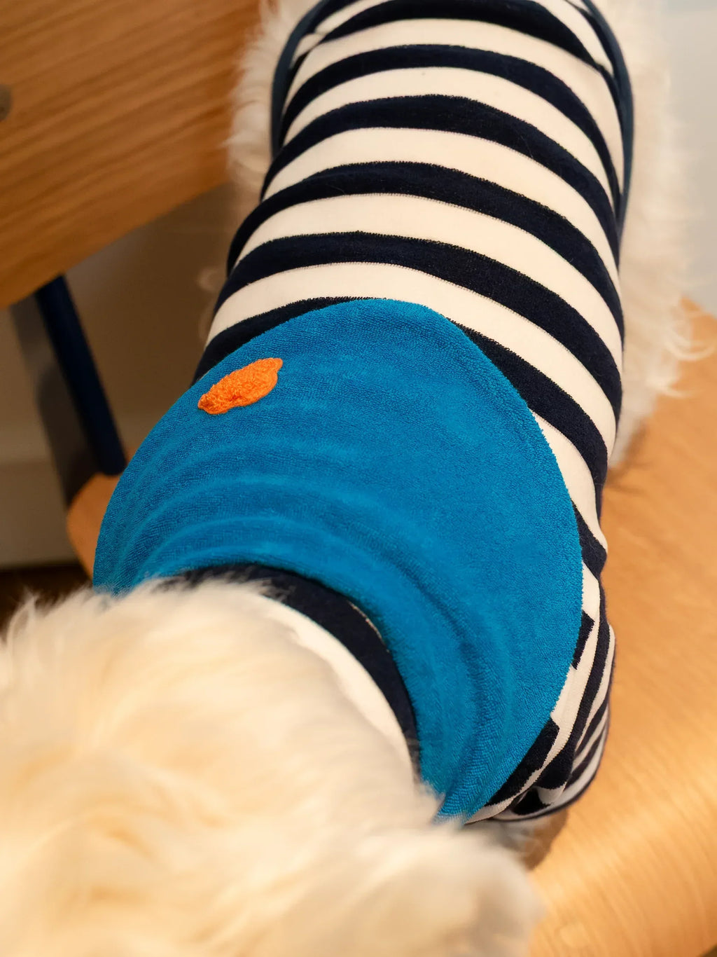 Back view of a Westie wearing the Bright Blue PET bandana layered over a navy blue and white striped shirt.