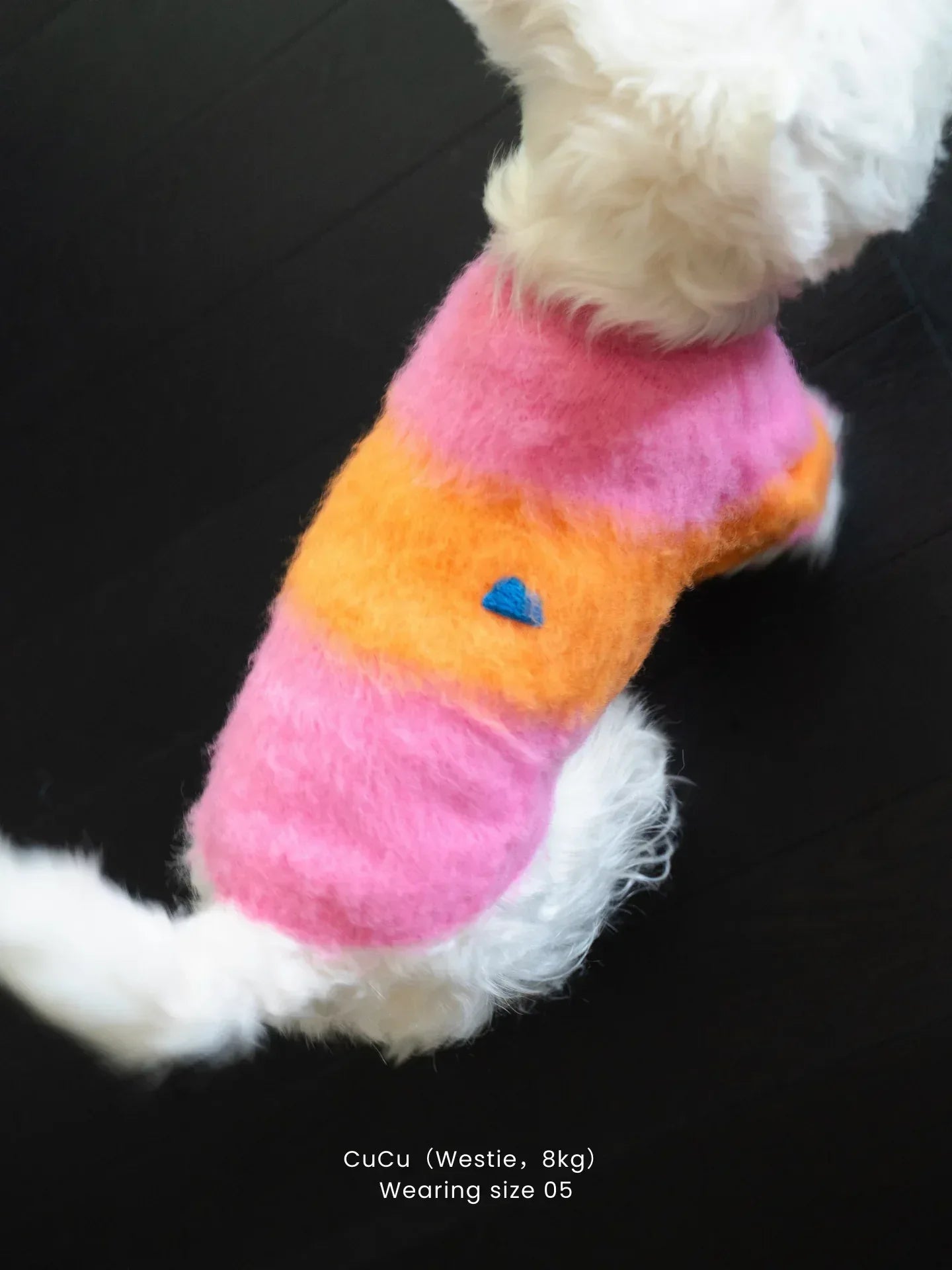 A West Highland White Terrier (Westie) wearing the Pink-Orange artistic color block brushed sweater.