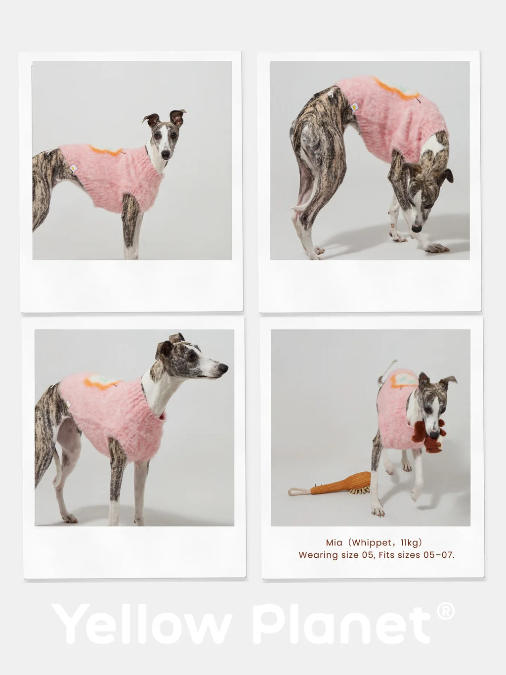 A photo collage of a slender Whippet wearing the Pink Pear brushed knit vest, showing the flexible fit for athletic breeds.
