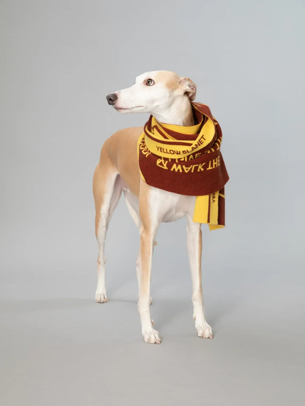A Whippet dog modeling the oversized yellow and brown "WOOF" theme human scarf, showcasing a matching pet-owner look.