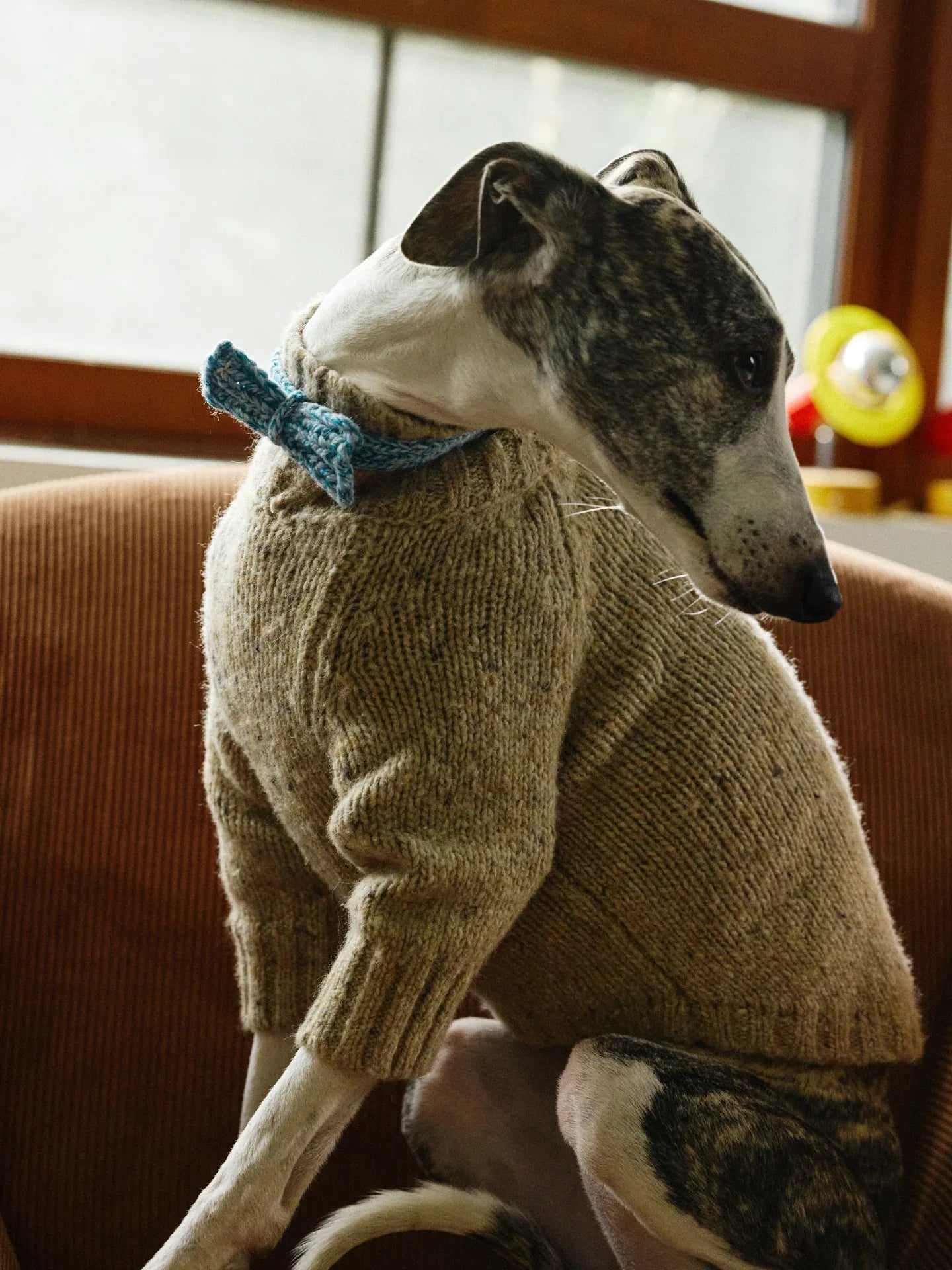 A Whippet modeling the Walnut Tweed high-neck sweater accessorized with a denim-blue knitted bow tie.