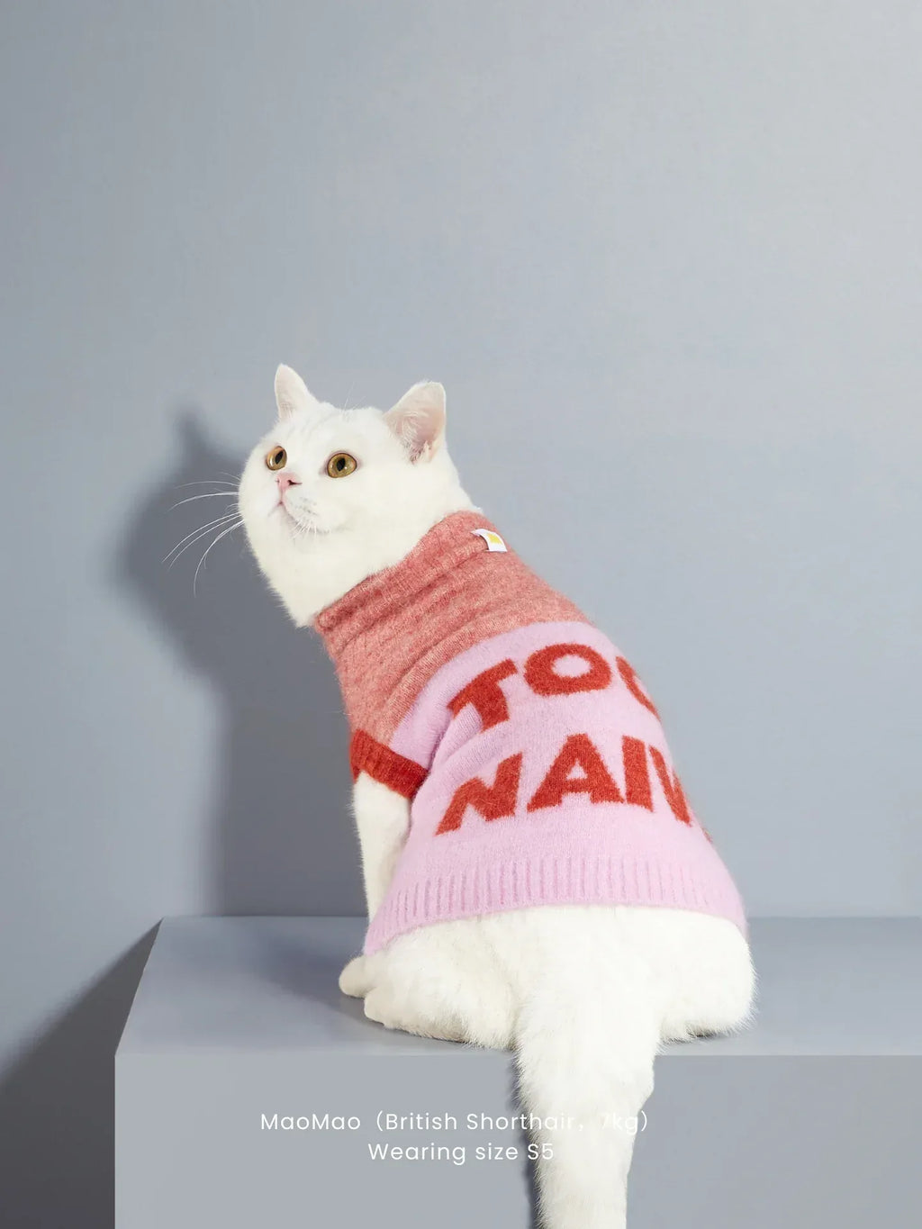 Side profile of a white cat wearing the "Too Naive" pink and coral red knit vest on a studio block.