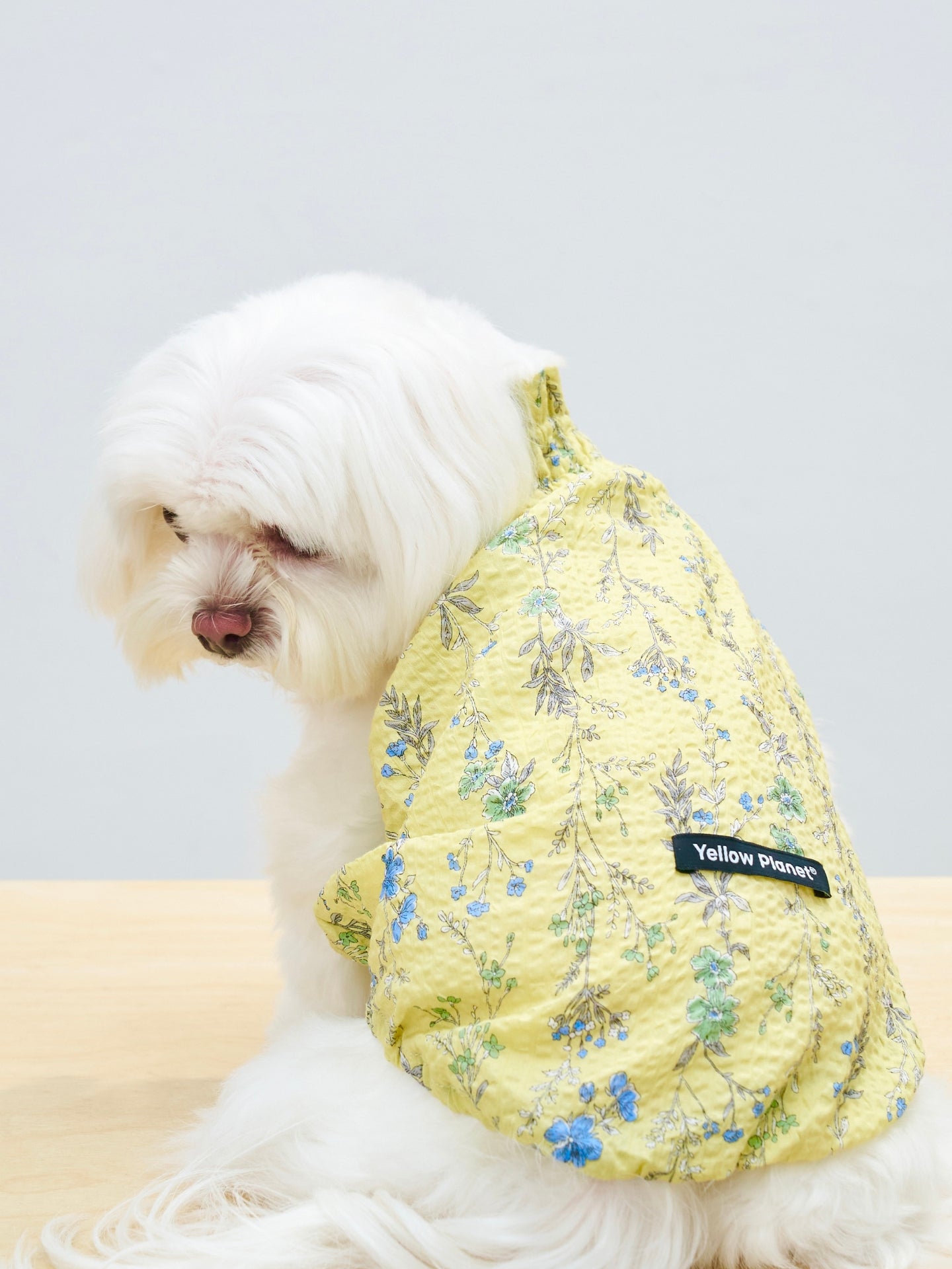 Back side view of a white dog wearing the Colorful Daily Nature's Verse Gentle Wave Tank in Forest Yellow, highlighting the soft cotton fabric and lightweight shape.