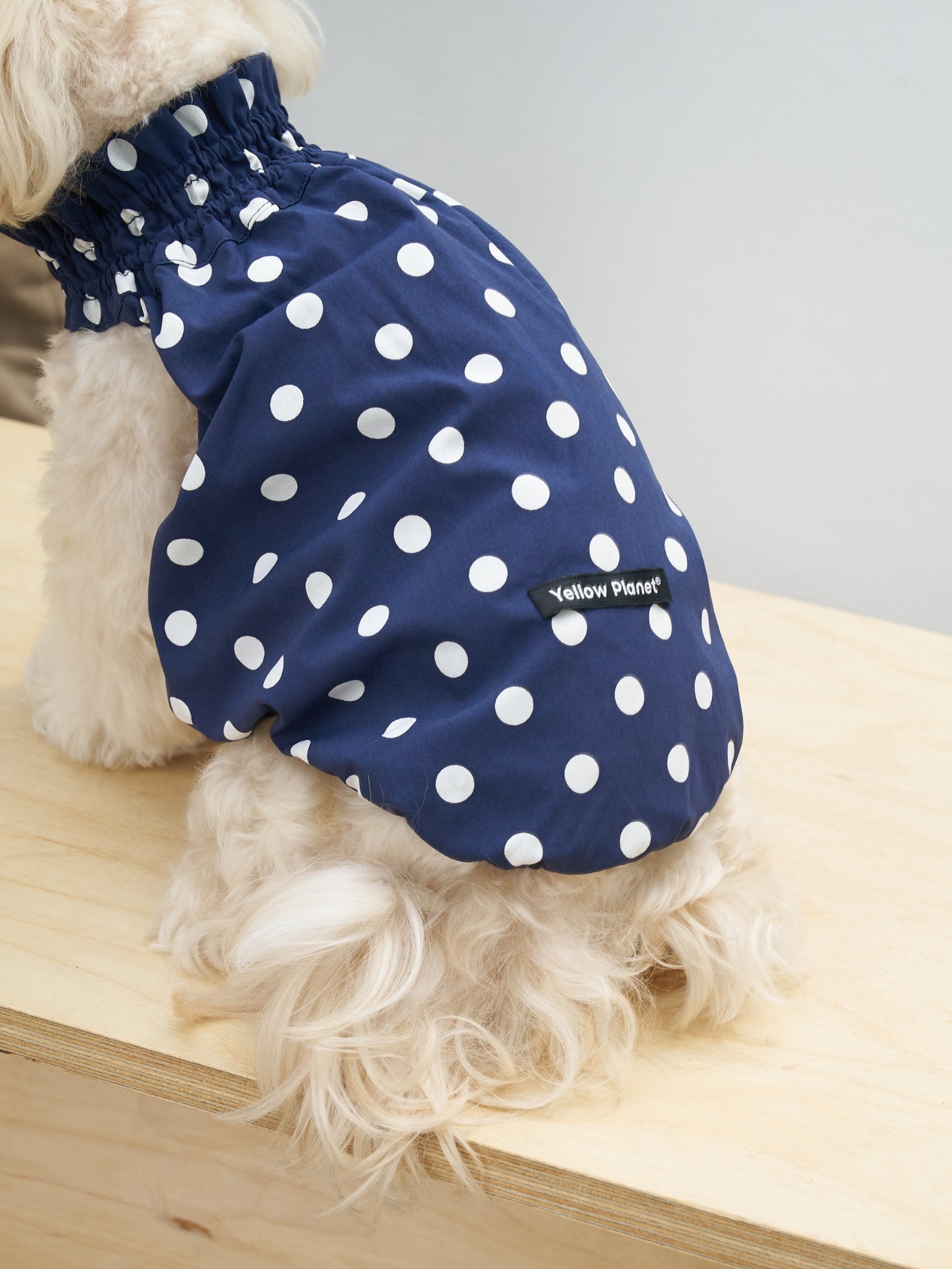 Back view of a white dog wearing the Oasis Polka Dot UV Cooling Pet Tank in Navy, showing the lightweight fit and classic polka dot print.