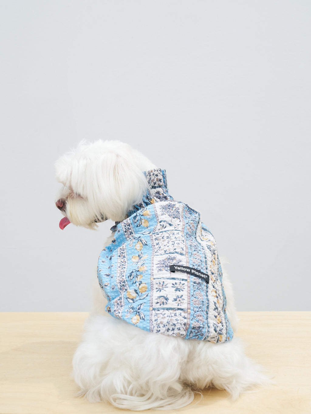 Back view of a white dog wearing the Colorful Daily Nature's Verse Gentle Wave Tank in Limoncello, highlighting the lightweight shape and comfortable fit.