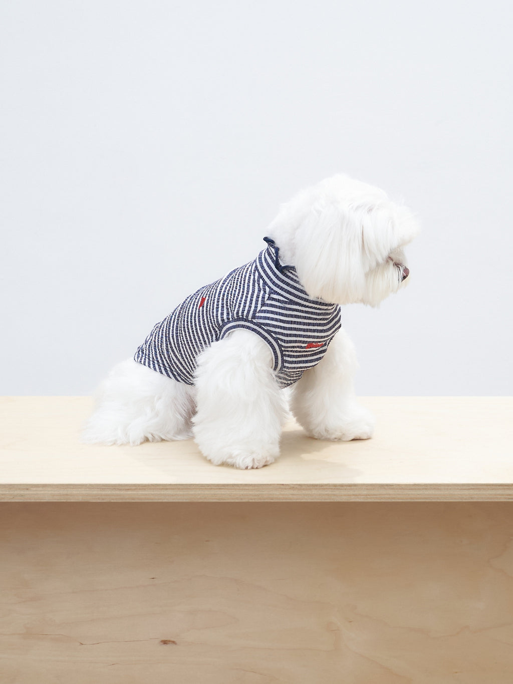 Seated side view of a white dog wearing the Colorful Daily AIRWave Tank in Navy Blue.