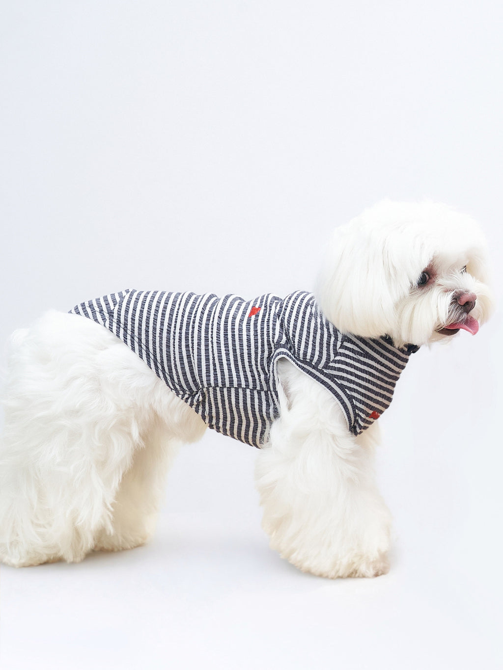 Side view of a white dog wearing the Colorful Daily AIRWave Tank in Navy Blue.