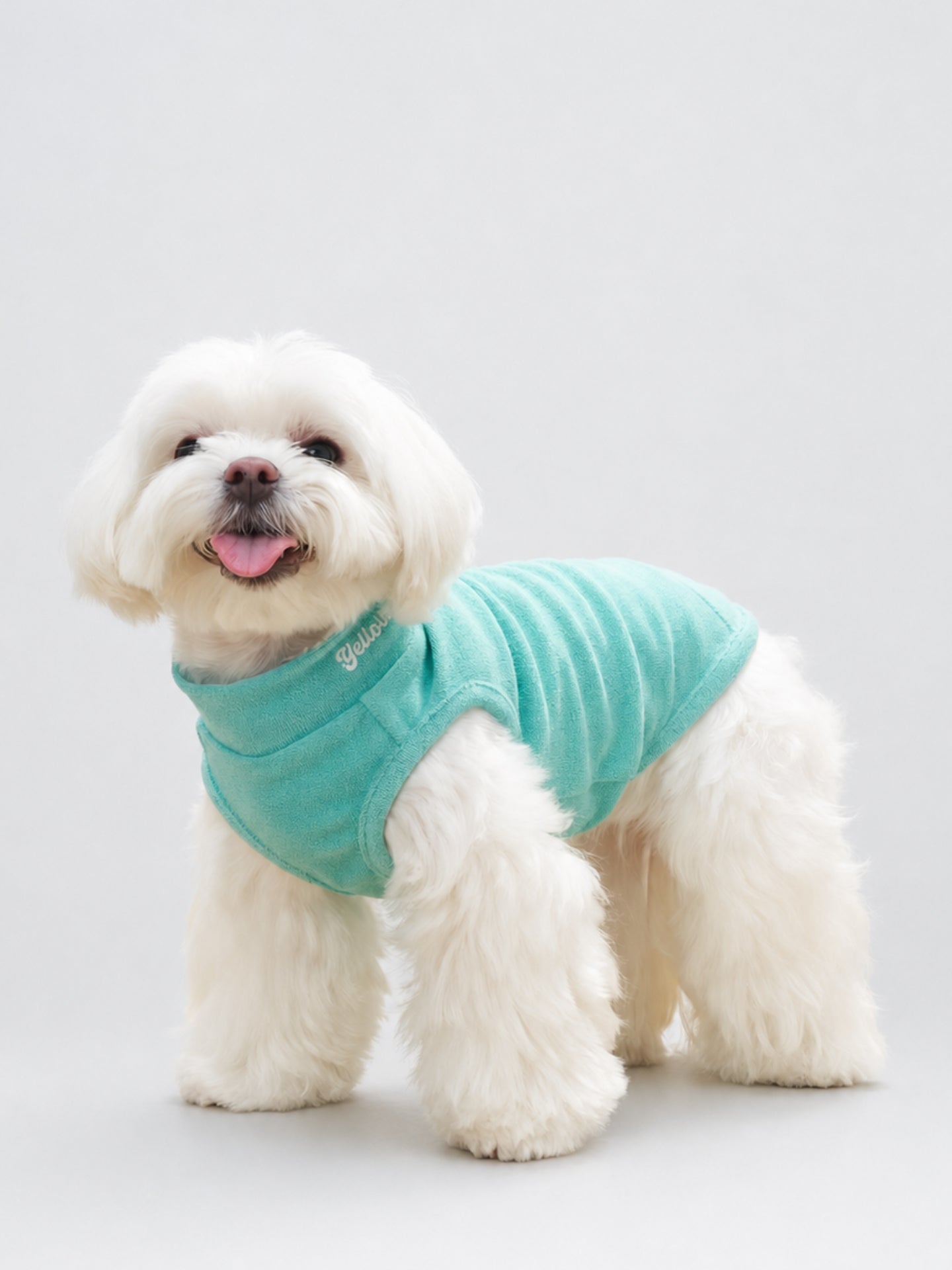 Side view of a white dog wearing the Colorful Daily Soft Terry Tank in Mint Green.