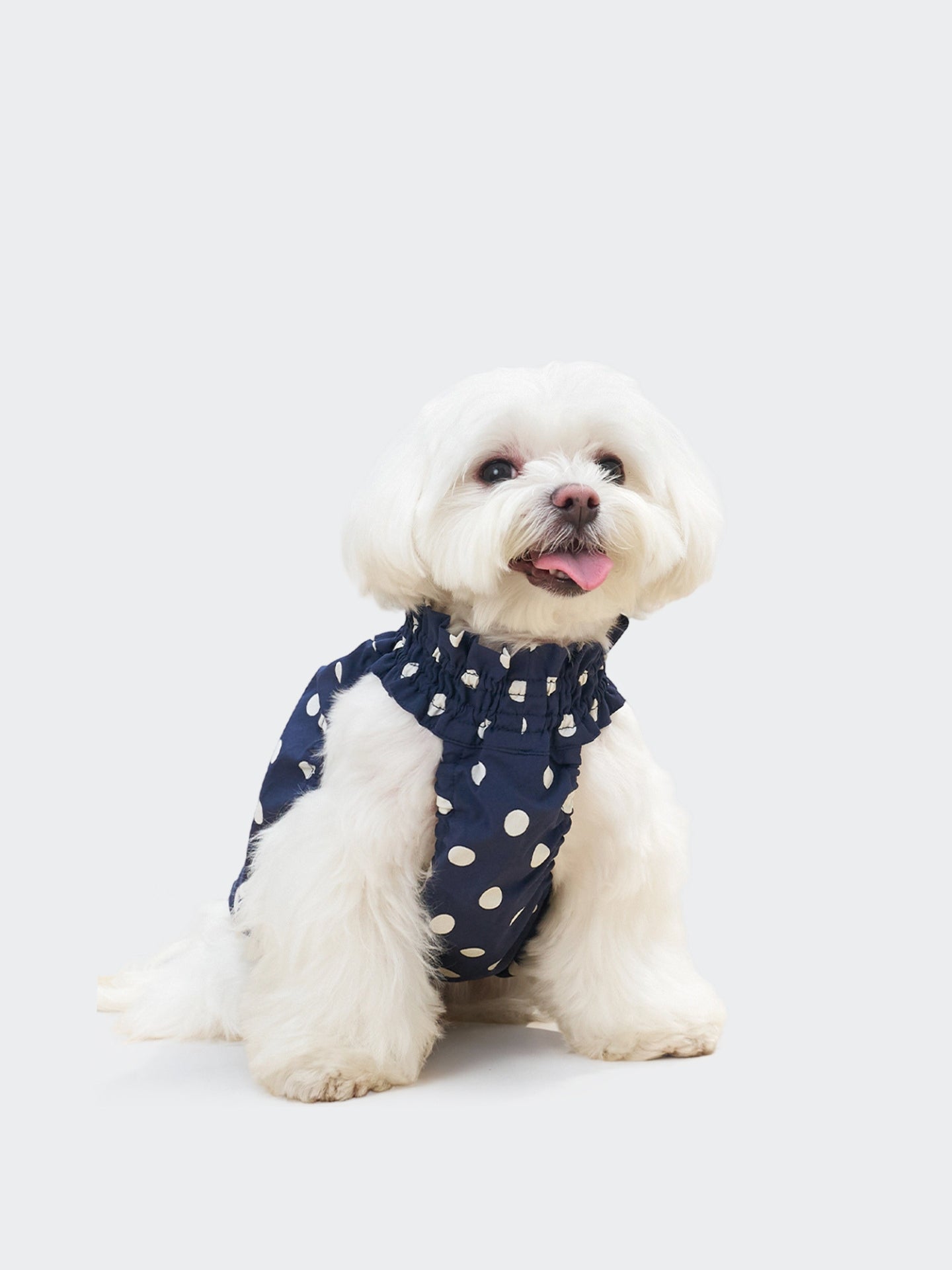 White dog wearing the Oasis Polka Dot UV Cooling Pet Tank in Navy, a breathable summer dog tank with UPF50+ protection and a gentle cooling feel.