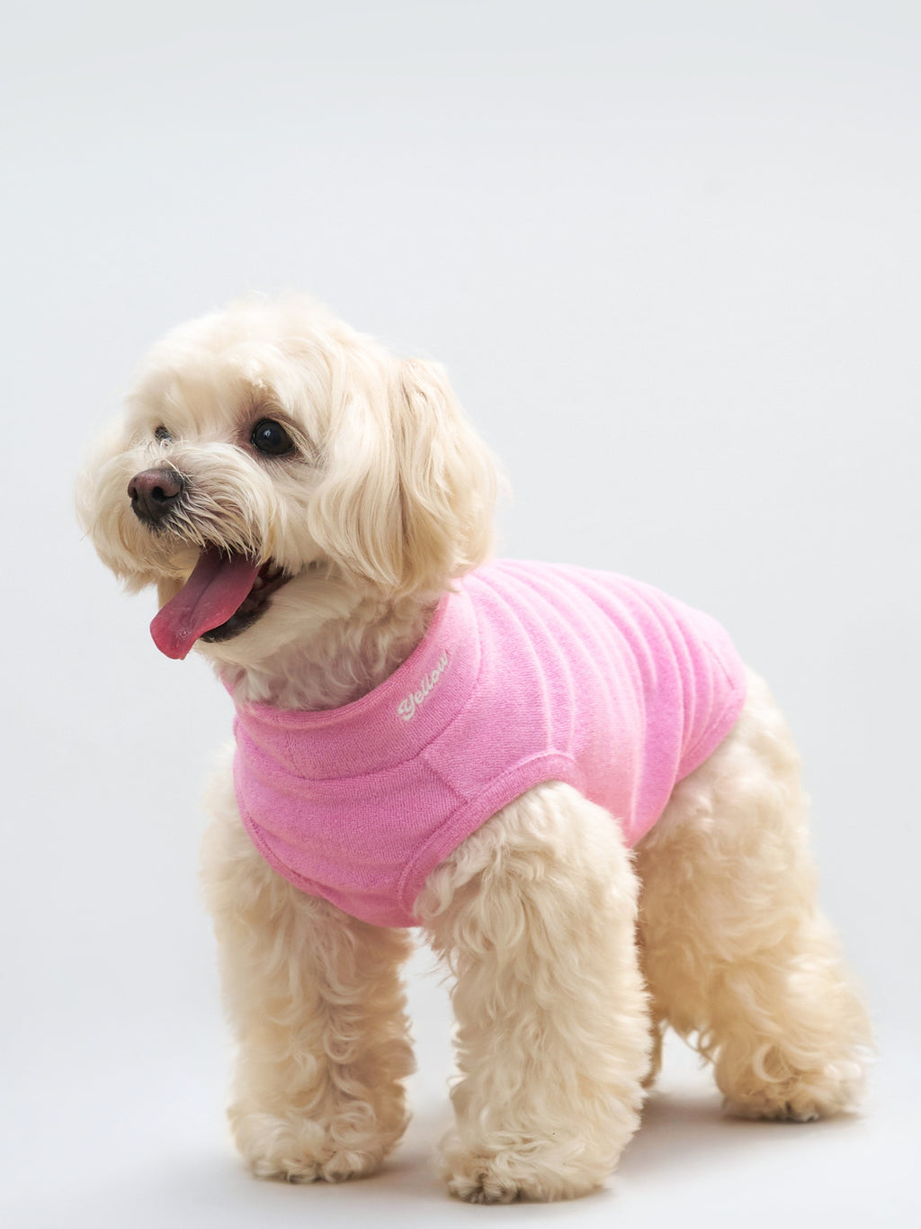 Front view of a white dog wearing the Pink Colorful Daily Soft Terry Tank.