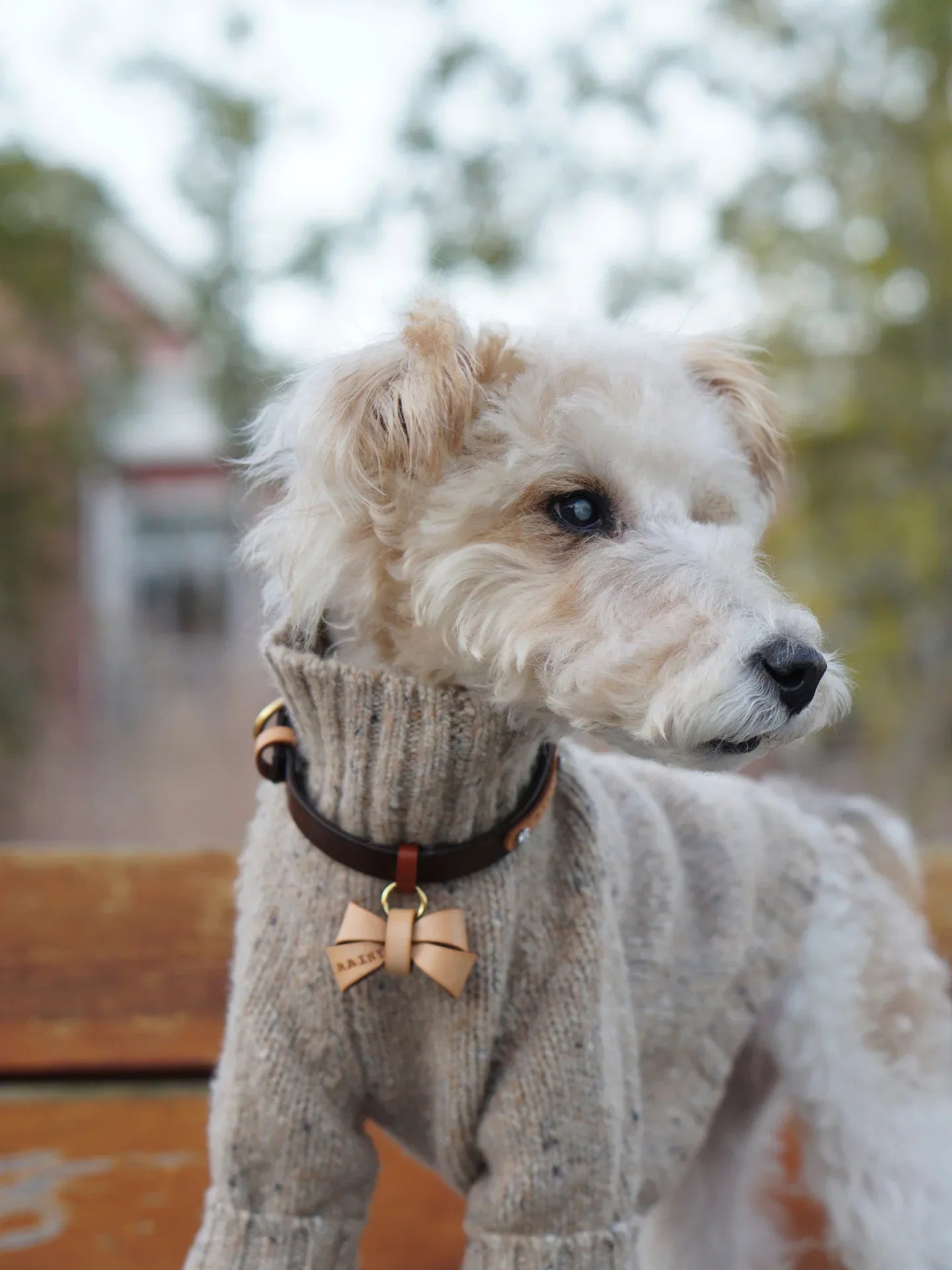 A Wire Fox Terrier wearing the Oat Tweed high-neck sweater and a matching bow tie, showcasing a classic outdoor "Gentleman" look.