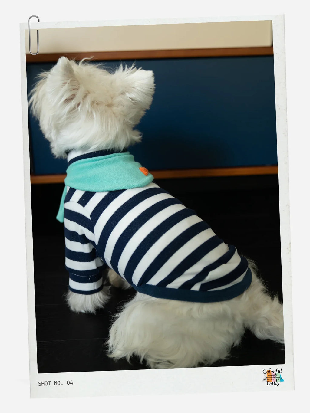 White dog wearing Navy white Stripe Mint yarn dyed pet stripe outfit with matching bandana, back view indoors