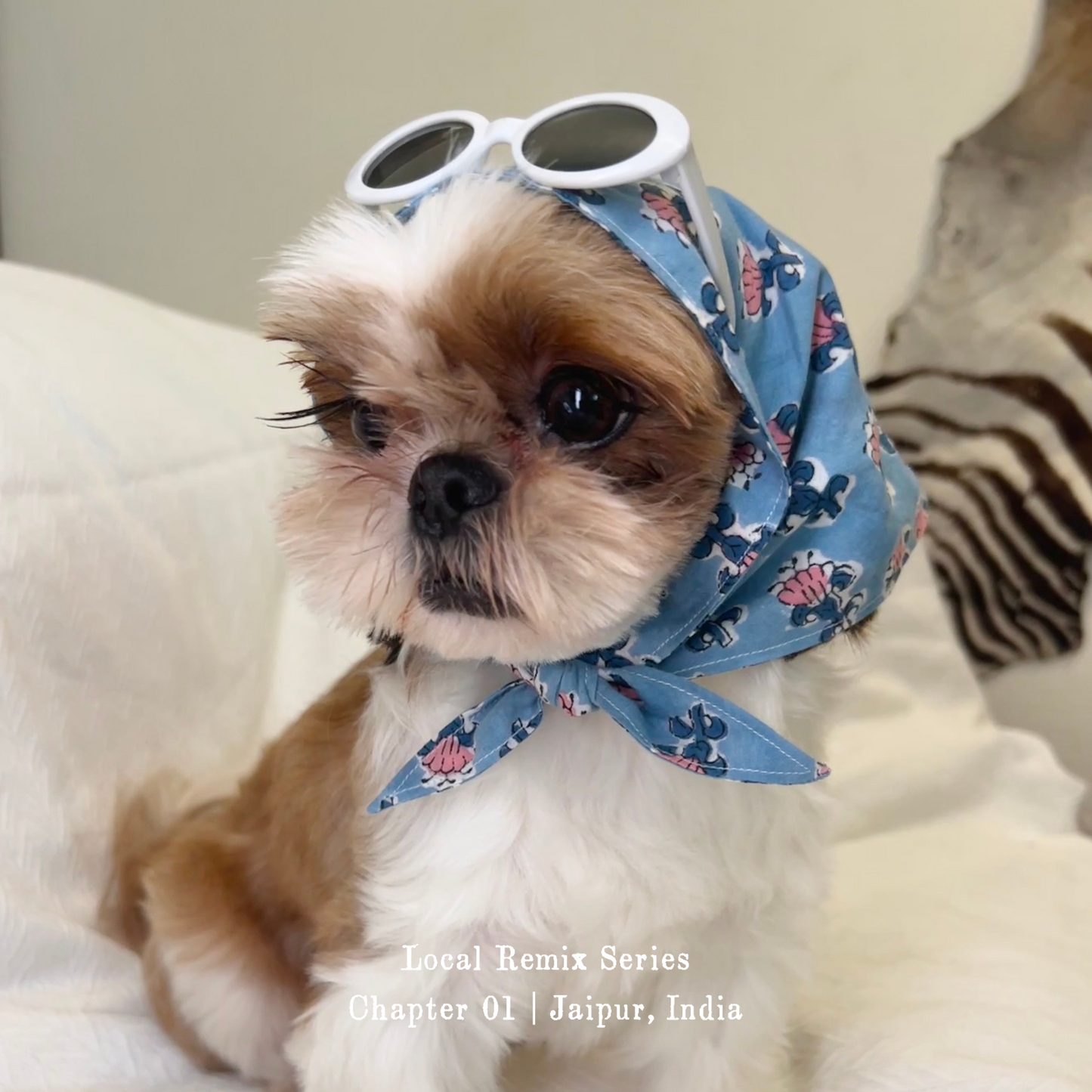 Dog wearing Yellow Planet® Local Remix Triangle Bandana Vol. 2 in blue as a headscarf, styled with sunglasses on top for a playful fashion look