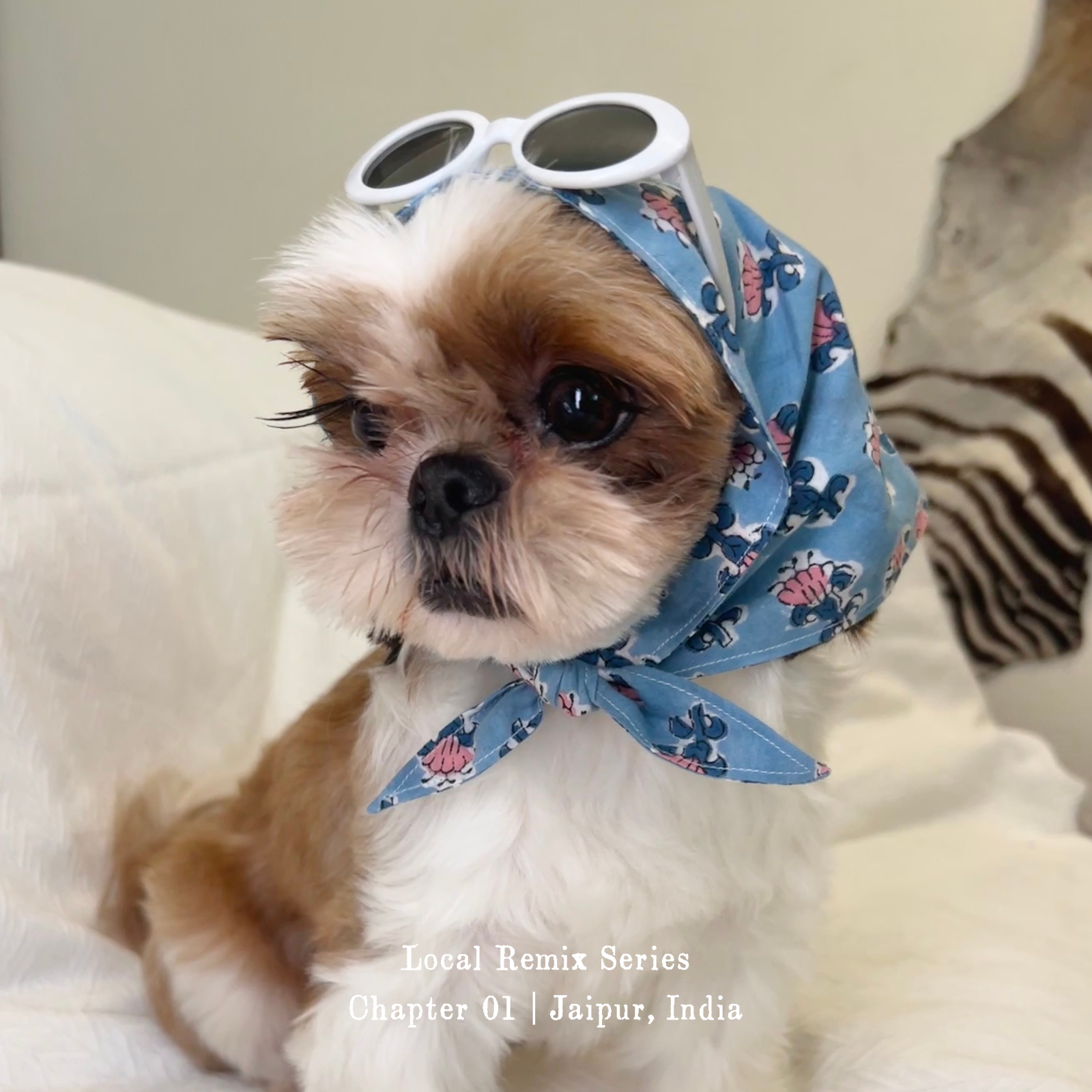 Dog wearing Yellow Planet® Local Remix Triangle Bandana Vol. 2 in blue as a headscarf, styled with sunglasses on top for a playful fashion look
