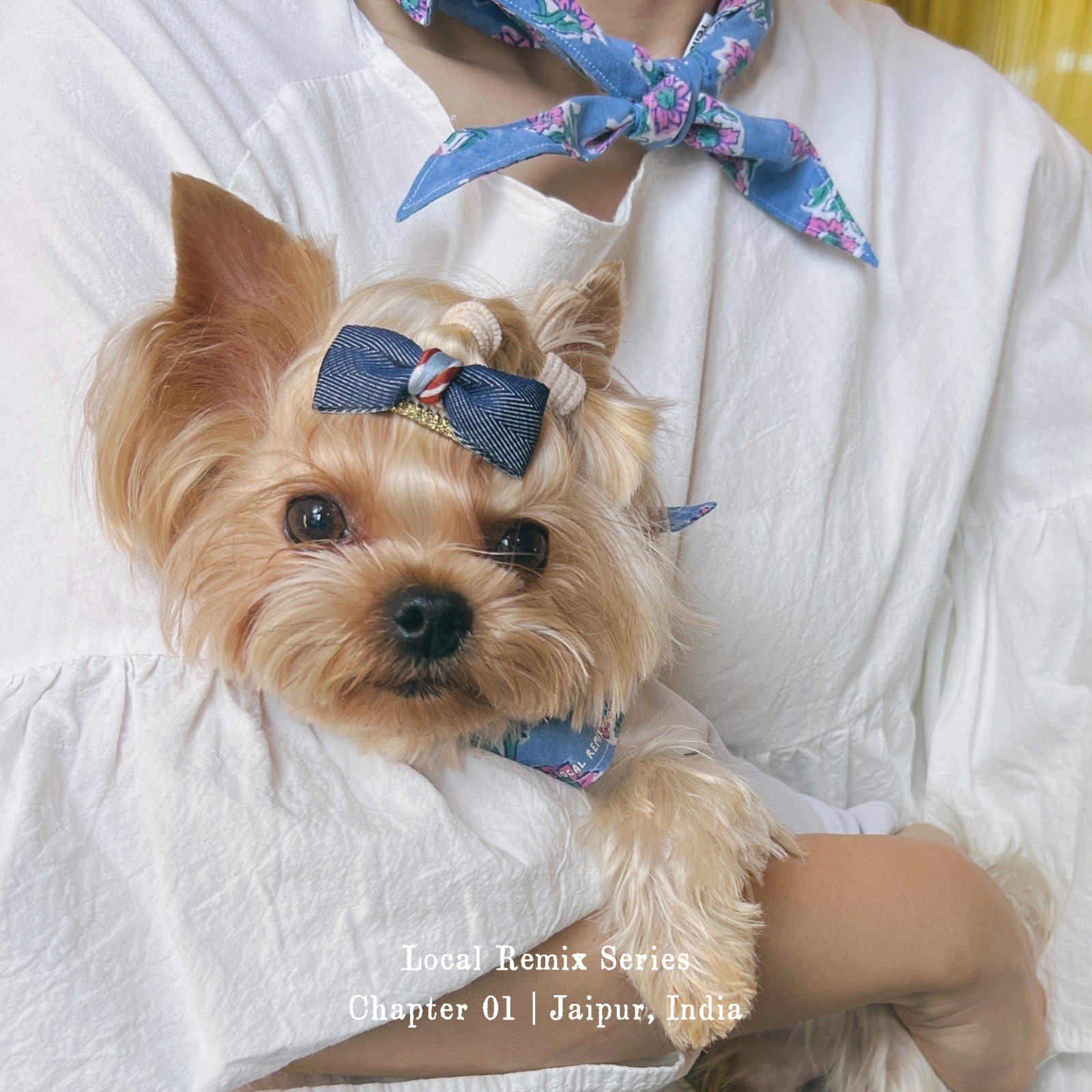 Front view of human and dog wearing matching Yellow Planet® Local Remix Triangle Bandana Vol. 2 in blue, crafted from hand block printed cotton in Jaipur.