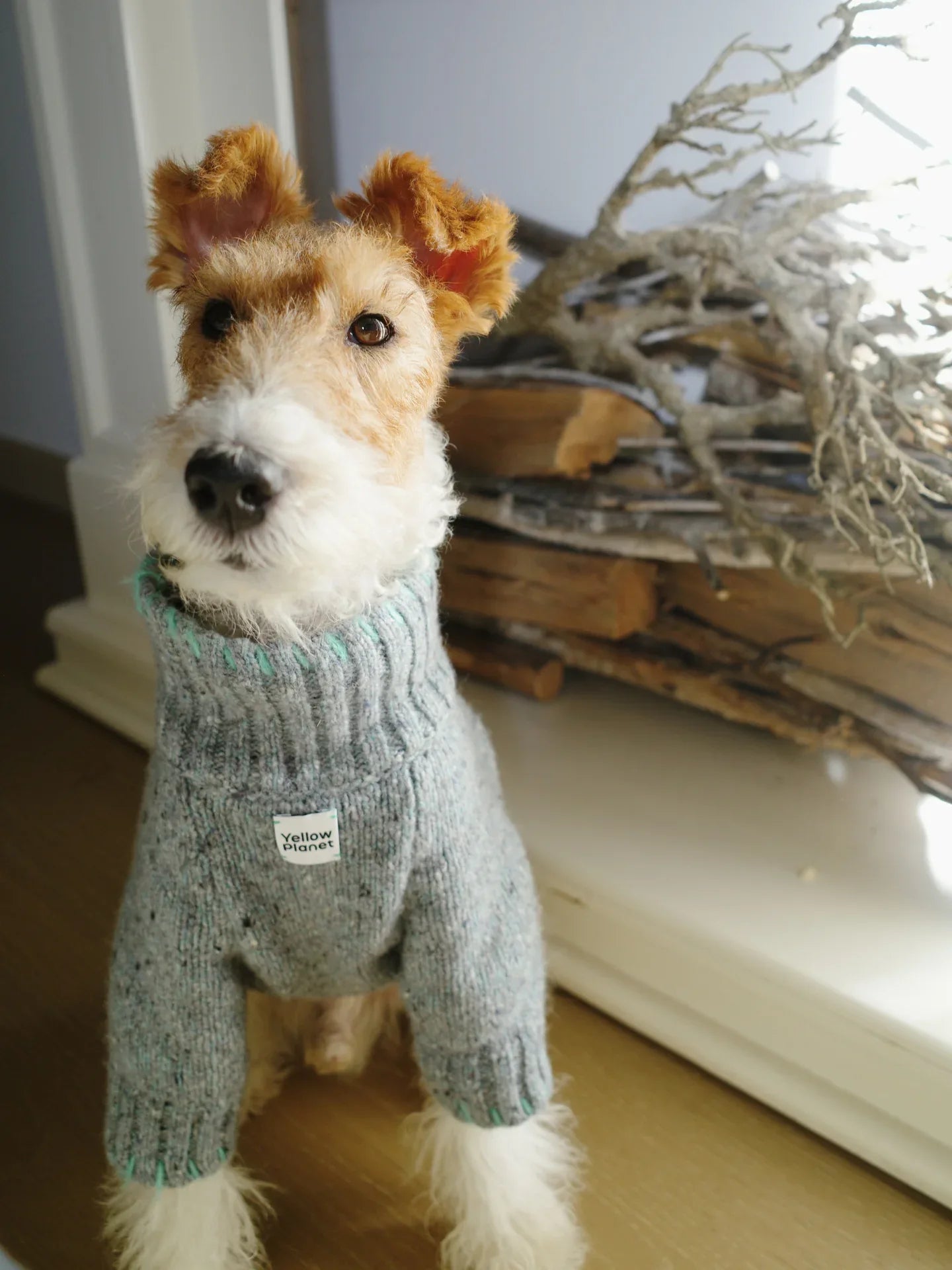 Funky Gentle Dog Series Alpaca-Wool Blend Pet Sweater - Yellow Planet