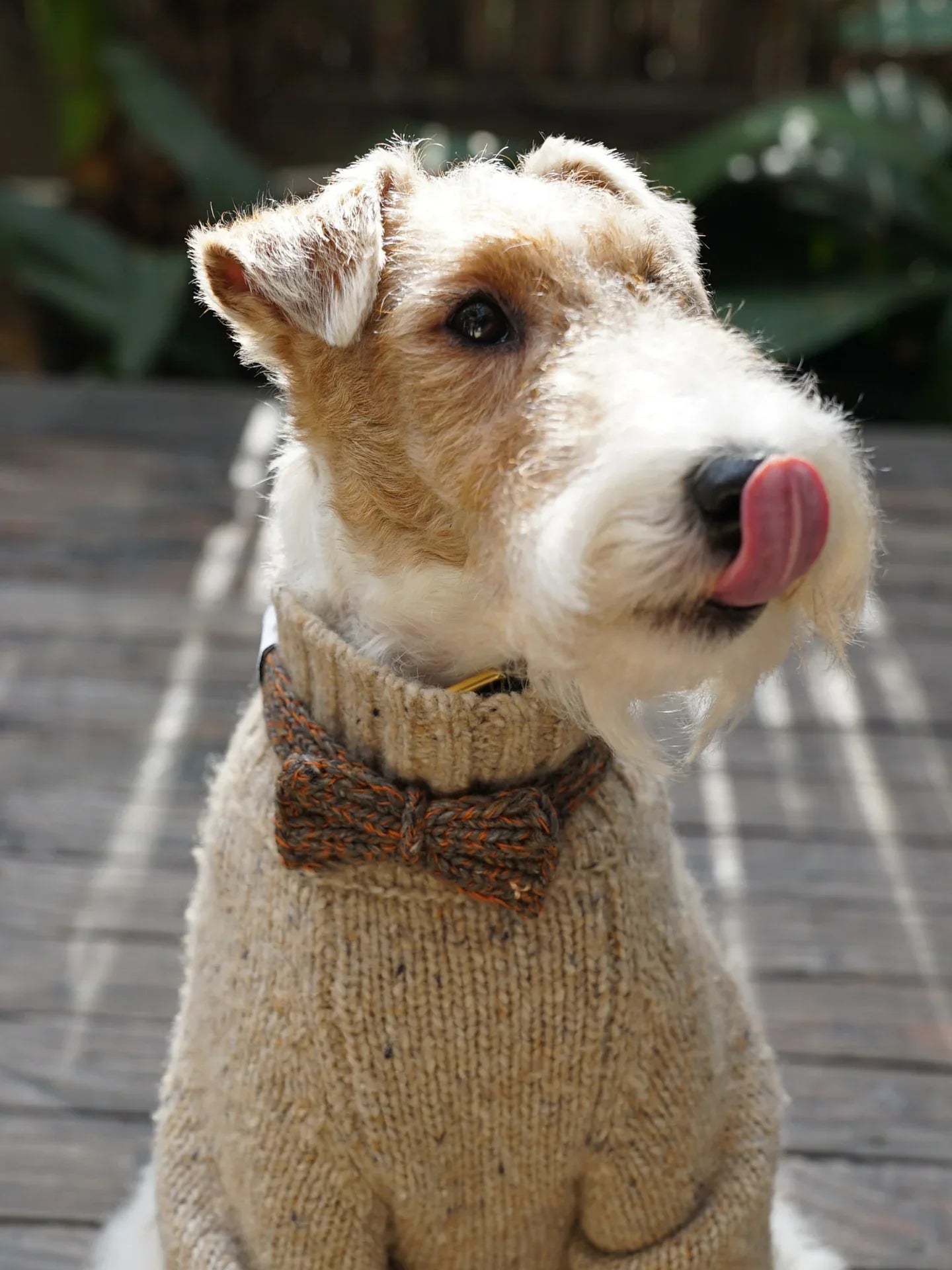 Funky Gentle Dog Series | Hand-Knitted Bow Tie in Alpaca & Wool Blend - Yellow Planet