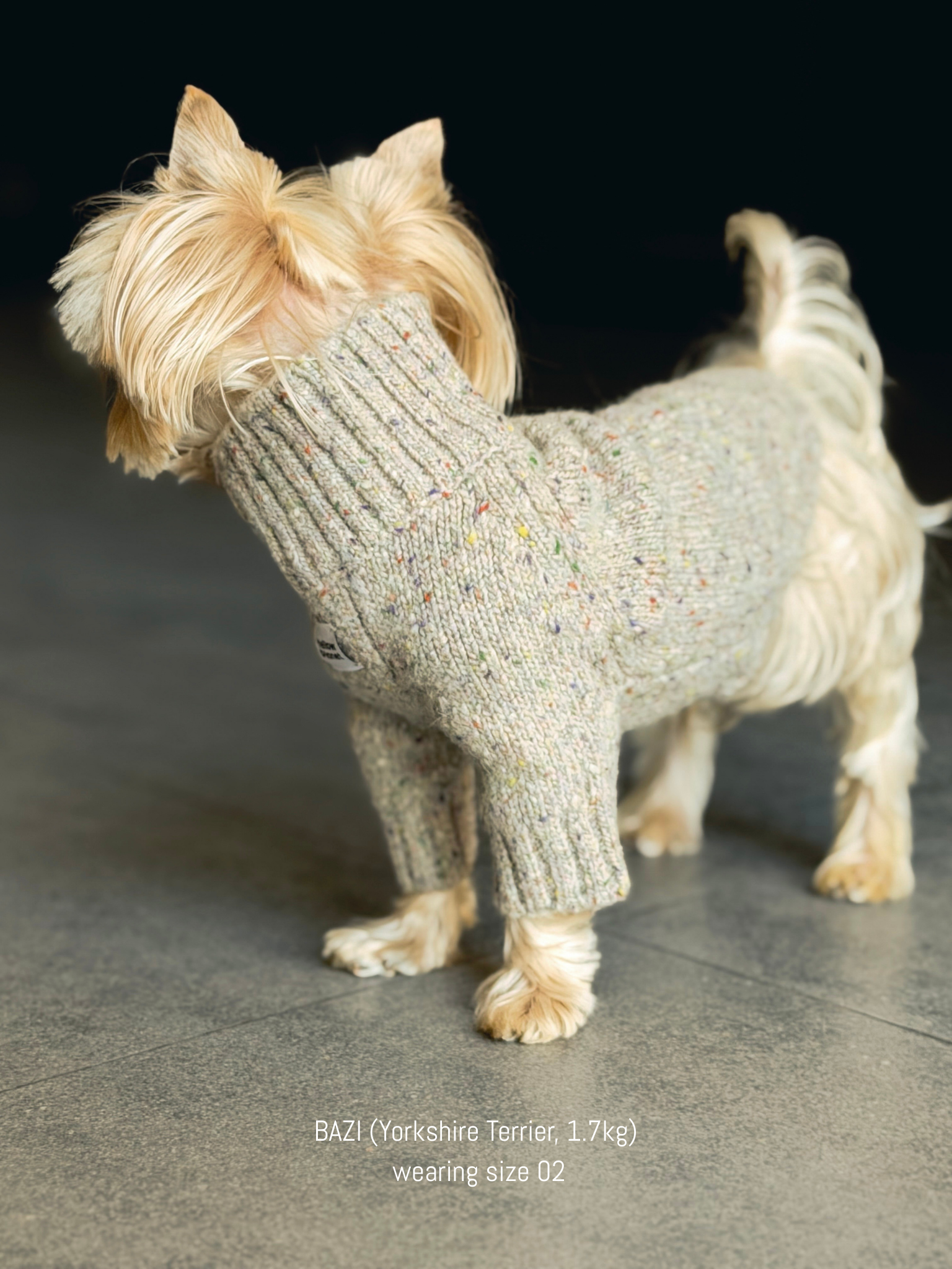 Side view of  Yorkshire Terrier wearing the Confetti Cream tweed dog sweater. Blend ensures durability for active dogs.